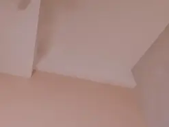 Amateur Live Porn of AbbieJones