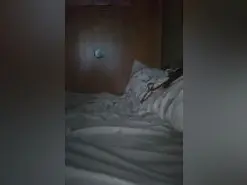 Amateur Free Live Porn of Laputa2024