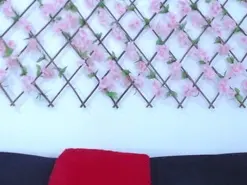 Amateur Live Sex Cam of tiffany_gomez9