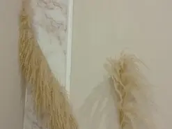 Amateur Live Porn of Leslie-3