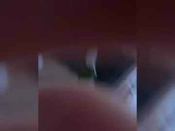 Bongacams Free Live Porn of KATALINAcherry1