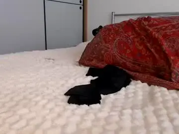 Chaturbate Adult Webcam of bella_bloom1