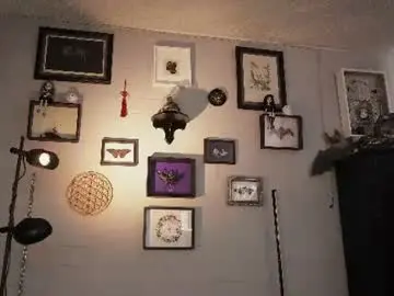 Chaturbate Live Sex Cam of insania_999