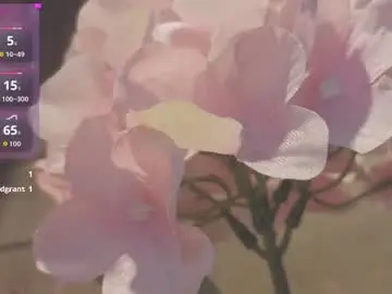 Chaturbate Adult Webcams of vickyvalencia2